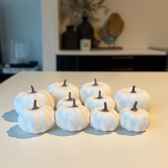 Other - 10 piece pumpkin bundle